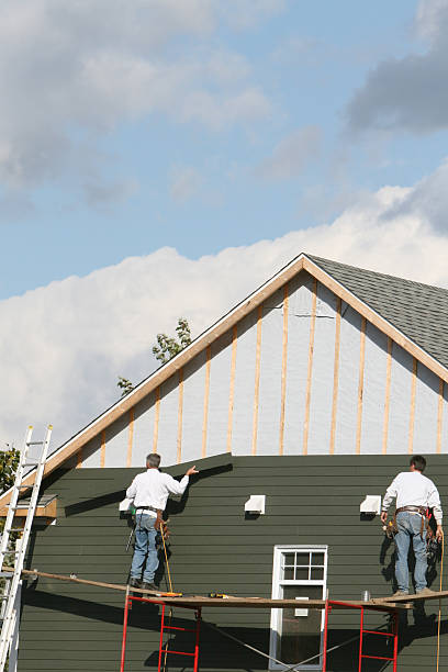 Best Vinyl Siding Installation  in Flatwoods, KY