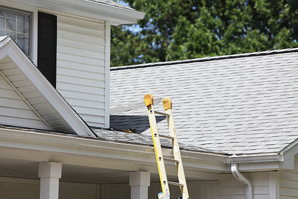 Best Fascia and Soffit Installation  in Flatwoods, KY